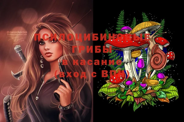 спайс Абаза