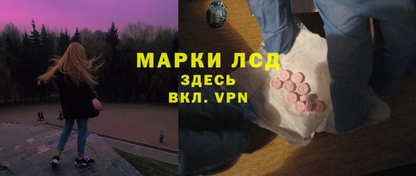 стафф Алзамай