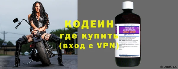 индика Кулебаки