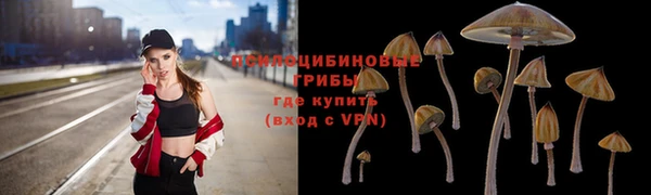 стафф Алзамай