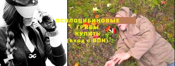 стафф Алзамай